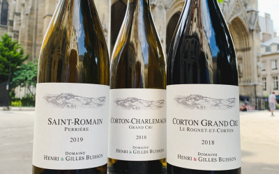 domaine henri gilles buisson saint romain