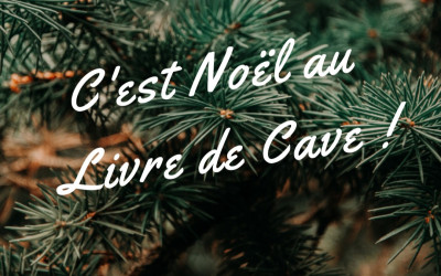 le calendrier de l avent du livre de cave