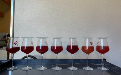 vendanges 2022