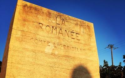 la romanee domaine louis michel liger belair chateau de vosne romanee