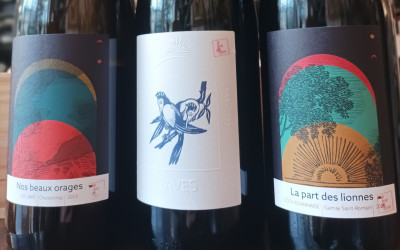 nouvel arrivage du domaine reniteo