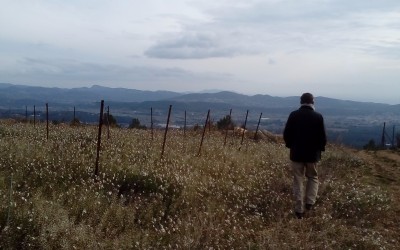 voyage au domaine de la begude bandol