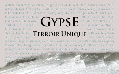 nouveau le domaine sylvie spielmann en alsace