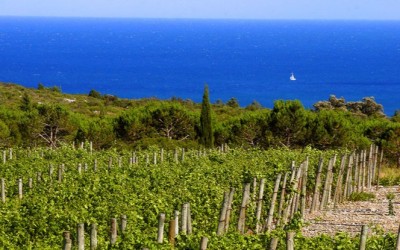 les vacances du livre de cave