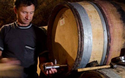 presentation et degustation du millesime 2015 par laurent lignier au livre de cave le 17 janvier
