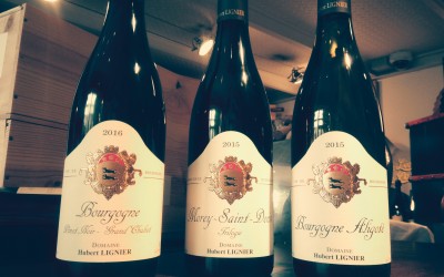 nouvel arrivage domaine hubert lignier 2015 et 2016