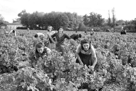 cours de degustation